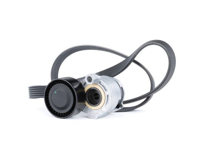 Kupte si levné originální Sada zebrovanych klinovych remenu 542R0170 porovnatelné s 1175000Q1H OEM čísly online