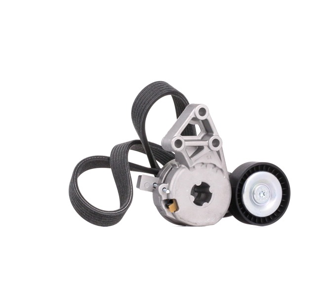Acquista online Kit Cinghie Poly-V 542R0178 originale a buon mercato, comparabile con i numeri OEM 06A903315E