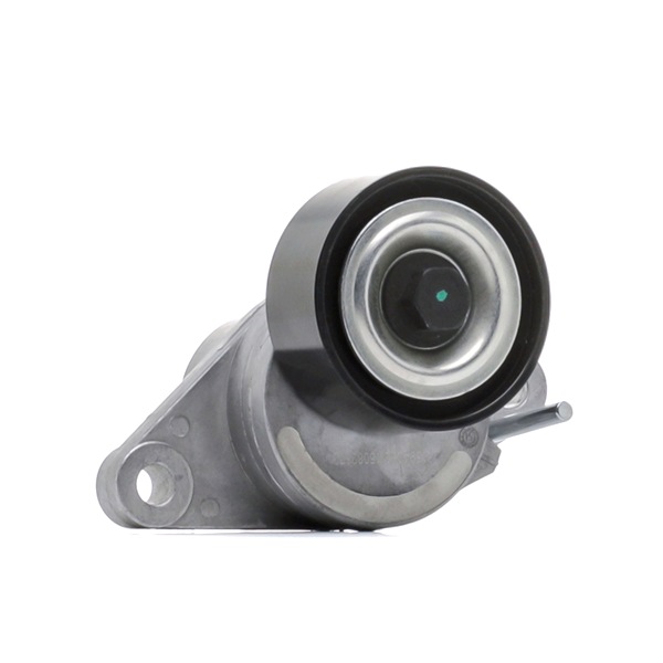 Įsigykite nebrangią originalią Įtempiklio skriemulys, V formos rumbuotas diržas 310T0303. sulyginama su 8200933753 OEM numeriais internetu