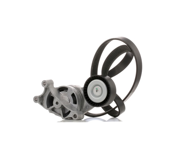 Kupte si levné originální Sada zebrovanych klinovych remenu 542R0211 porovnatelné s 06F260849L OEM čísly online