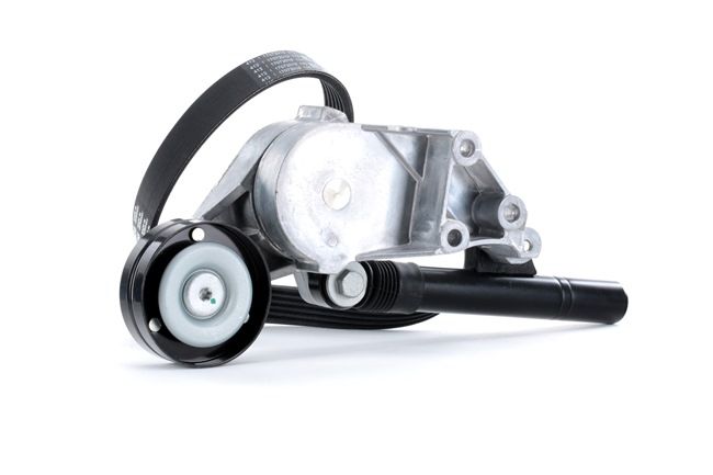 OEM Σετ ιμάντων poly-V VW 1.9 TDI 90 PS Πετρέλαιο από την RIDEX ηλεκτρονικά σε χαμηλές τιμές