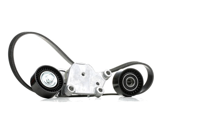 FORD 1.4 TDCi 70 HP Diesel V-Ribbed Belt Set OEM 1142000 from RIDEX online zu günstigen Preisen