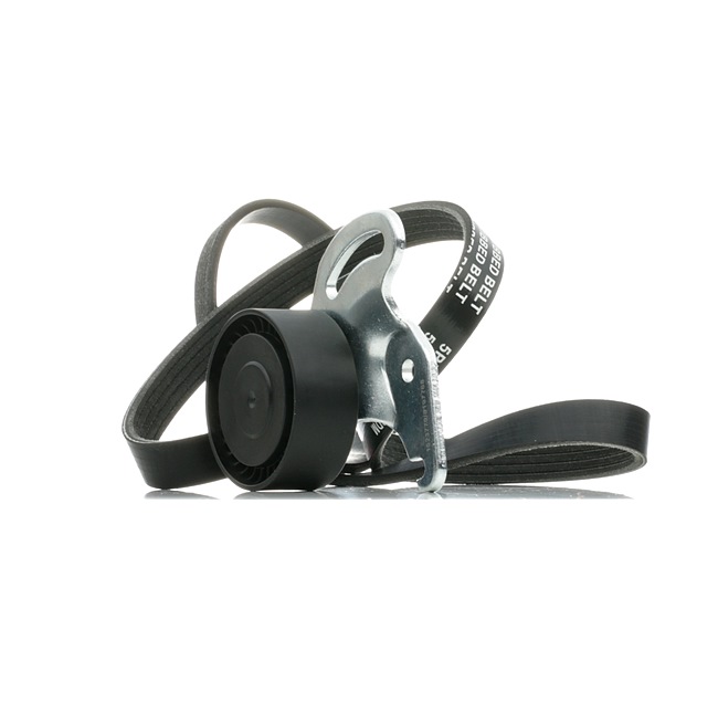 OEM Poly V-riem set RENAULT 1.6 Flex-Fuel 105 PK Benzine/Ethanol 7701476473 van RIDEX online aan geweldige prijzen
