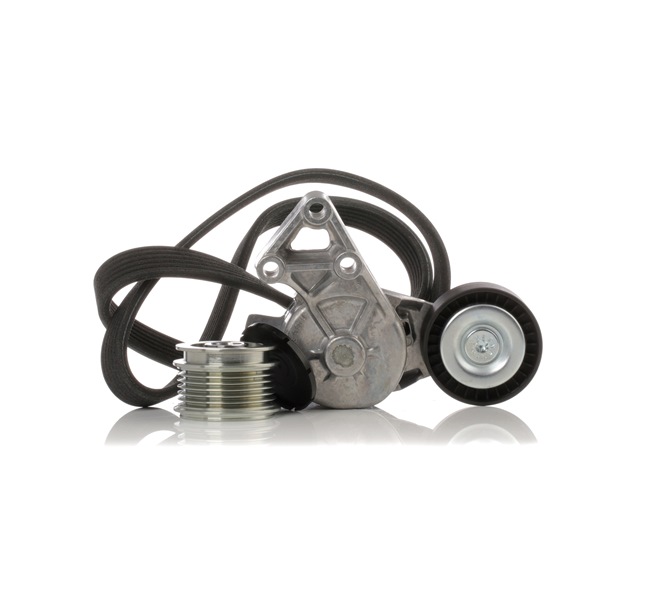 Koop online goedkoop originele Poly V-riem set SKRBS-1200233 vergelijkbaar met 03L903024 OEM-nummers
