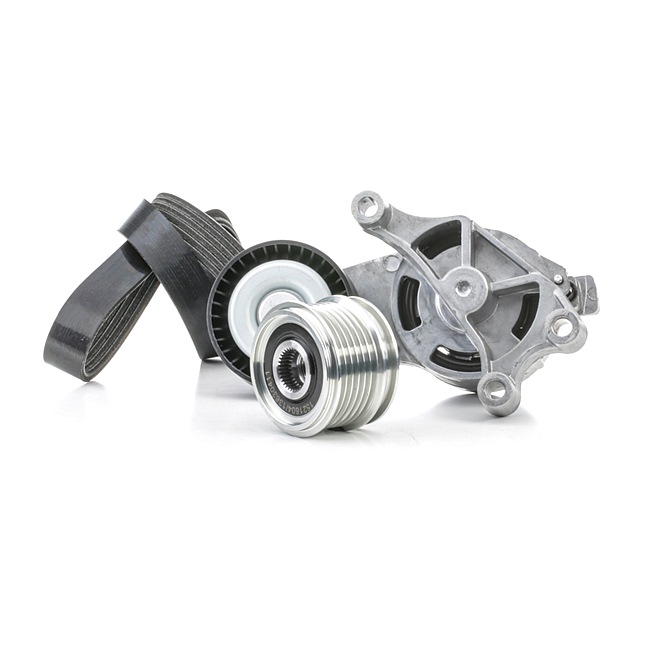 Koop online goedkoop originele Poly V-riem set 542R0250 vergelijkbaar met 03L903024 OEM-nummers