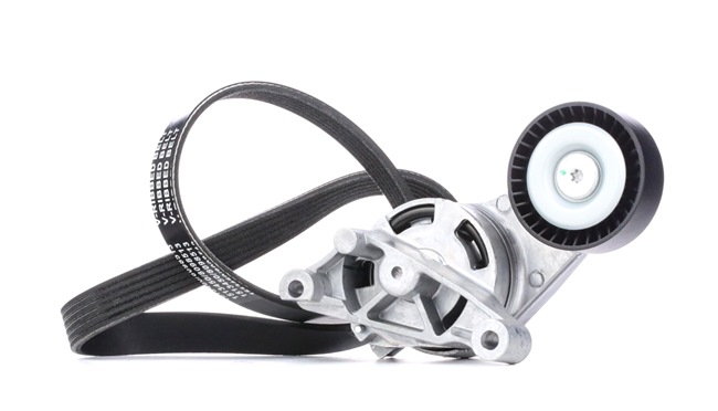 OEM Set curea transmisie cu caneluri SKODA 2.0 TDI 16V 140 CP motor diesel 03G903137A de la RIDEX online la un preț incredibil