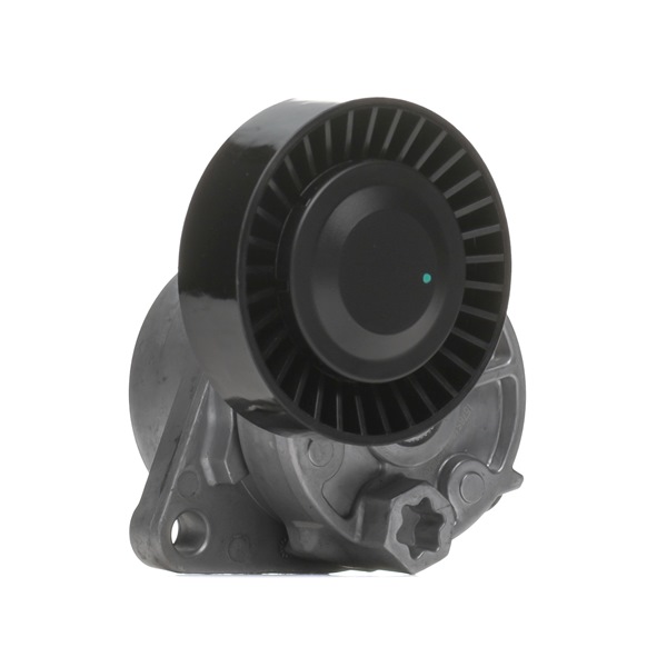 OEM Rolă întinzătoare Bongo 3 2016 0K88R15981, 252814X000, 252814X100 RIDEX