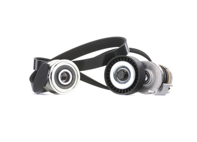 Koop online goedkoop originele Poly V-riem set SKRBS-1200279 vergelijkbaar met 022903119C OEM-nummers