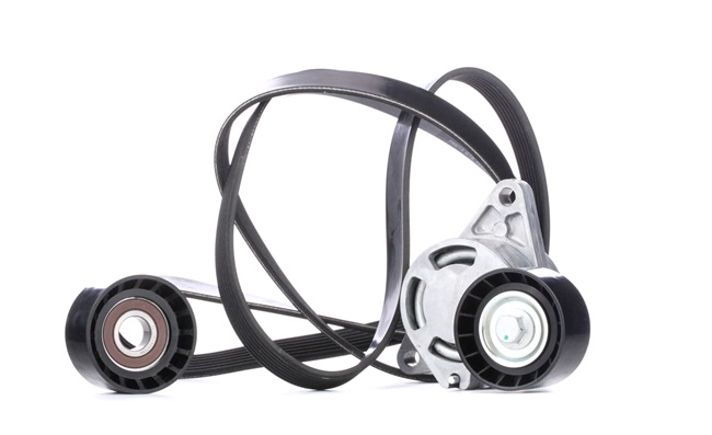 Kupte si levné originální Sada zebrovanych klinovych remenu 542R0282 porovnatelné s 1192569T25 OEM čísly online