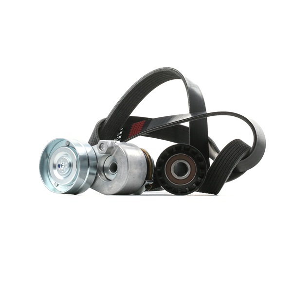 OEM Poly V-riem set RENAULT 1.9 dCi 116 PK Diesel 117200319R van STARK online aan geweldige prijzen