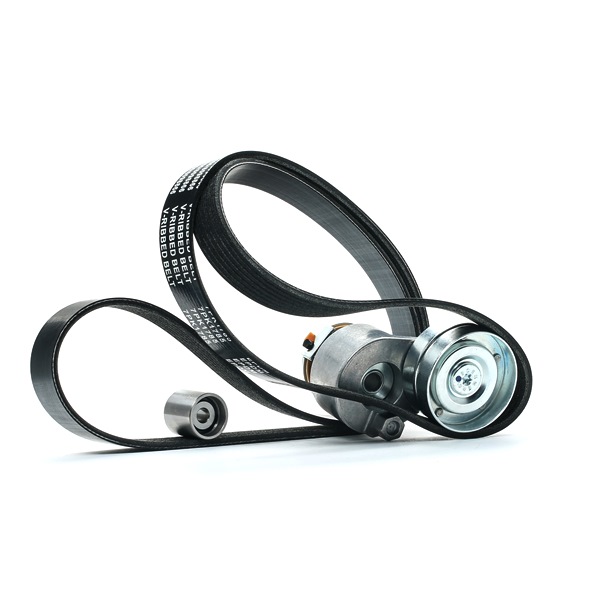 OEM Poly V-riem set RENAULT 1.9 dCi 116 PK Diesel 117200319R van RIDEX online aan geweldige prijzen