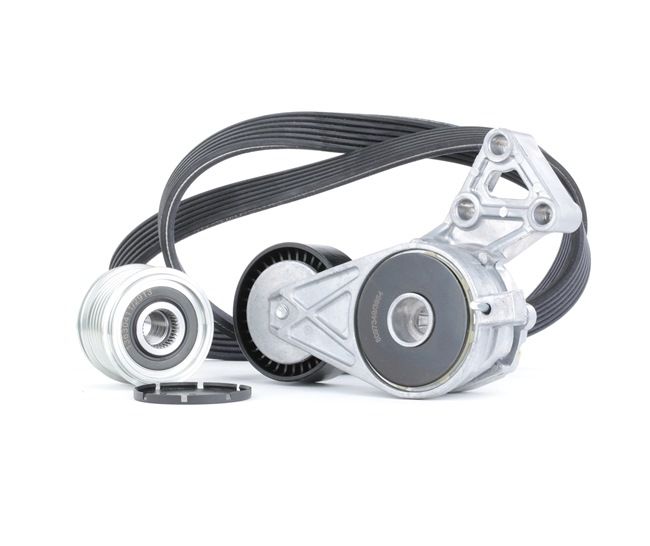 Koop online goedkoop originele Poly V-riem set 542R0290 vergelijkbaar met 03L903023E OEM-nummers