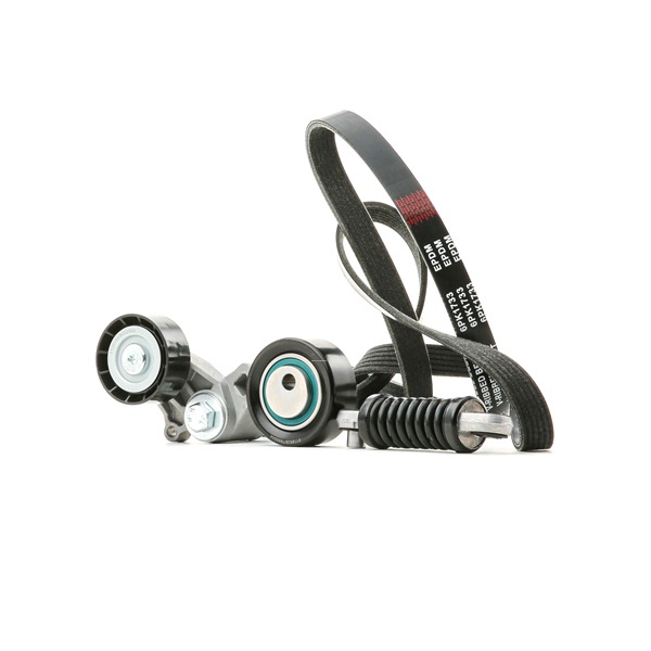 Kupte si levné originální Sada zebrovanych klinovych remenu SKRBS-1200291 porovnatelné s 5750YF OEM čísly online