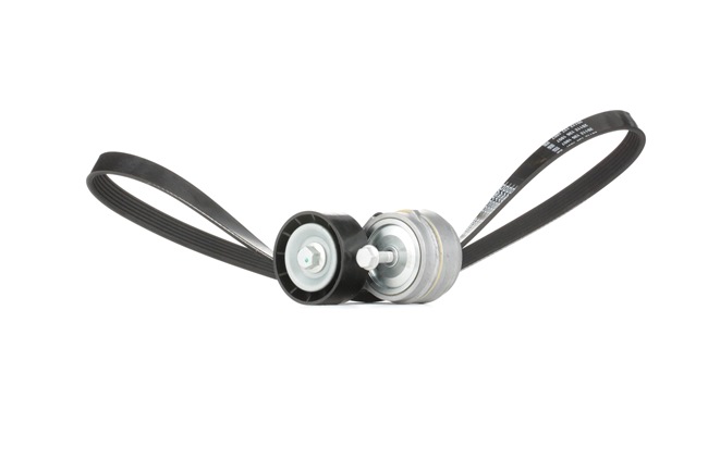 OEM Sada zebrovanych klinovych remenu FIAT 2.0 JTD 170 HP Diesel 46540546 od STARK online za výborné ceny