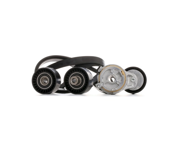 OEM Poly V-riem set CITROËN 1.6 HDi 8V 90 PK Diesel 16112780 van STARK online aan verbazingwekkende prijzen