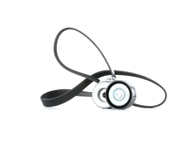 Kupte si levné originální Sada zebrovanych klinovych remenu SKRBS-1200298 porovnatelné s 9642430680 OEM čísly online