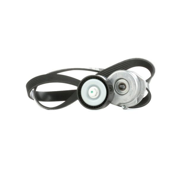 Kupte si levné originální Sada zebrovanych klinovych remenu 542R0299 porovnatelné s 9642430680 OEM čísly online