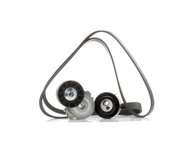 OEM Poly V-riem set CITROËN 2.0 HDi 16V 109 PK Diesel van RIDEX online aan verbazingwekkende prijzen