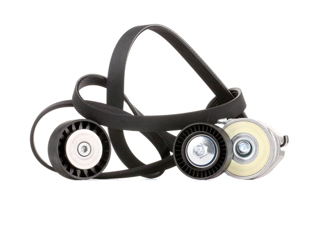 OEM Poly V-riem set FIAT 1.6 D Multijet (263AXD1B, 263AXX1B) 105 PK Diesel van RIDEX online aan verbazingwekkende prijzen