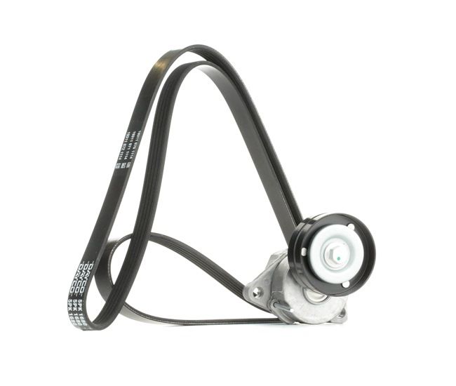 OEM Poly V-riem set OPEL 2.0 OPC (F08, F48) 192 PK Benzine 1340077 van RIDEX online aan geweldige prijzen