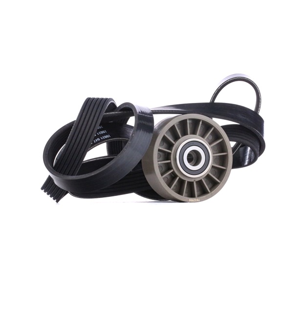 OEM Kit curea accesorii Puch W461 1995 STARK