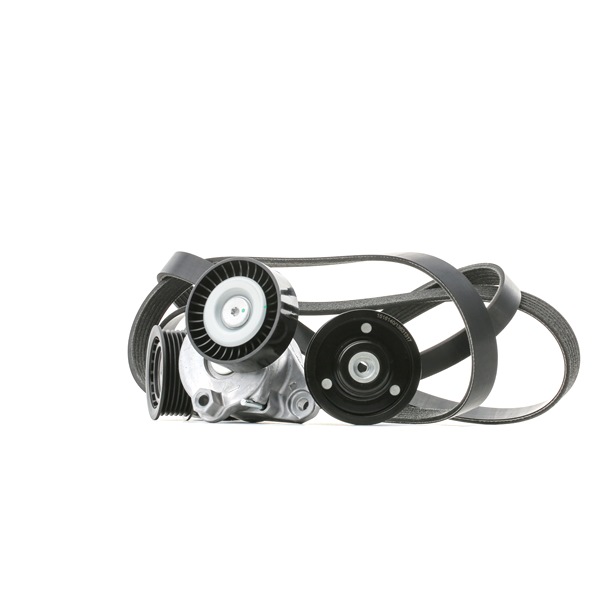 OEM Poly V-riem set MERCEDES-BENZ 324 (906.133, 906.135, 906.233, 906.235, 906.132,... 258 PK Benzine van RIDEX online aan geweldige prijzen