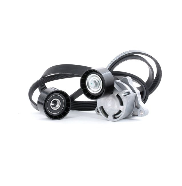 OEM Poly V-riem set RENAULT 2.5 dCi 100 99 PK Diesel 4417535 van STARK online aan geweldige prijzen