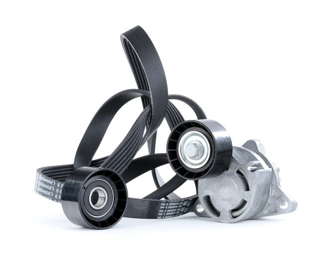 OEM Poly V-riem set RENAULT 2.5 dCi 100 99 PK Diesel 4417535 van RIDEX online aan geweldige prijzen