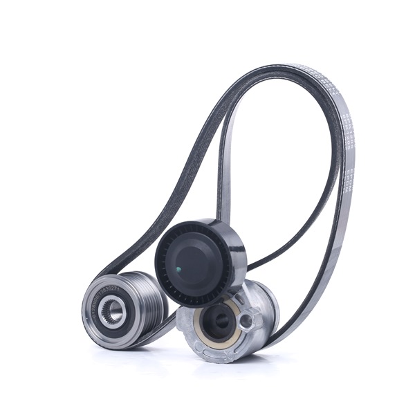 Bestel originele Poly V-riem set SKRBS-1200382 voordelig online, te vergelijken met 7701473636 OEM-nummers