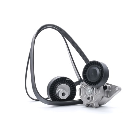 Buy cheap original V-Ribbed Belt Set SKRBS-1200387 comparable with BM5Q6C301AB OEM numbers online