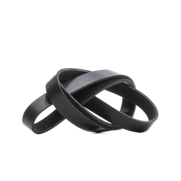 OEM Multiriem RENAULT 1.2 TCe 116 PK Benzine 1172000Q5J van RIDEX online aan geweldige prijzen