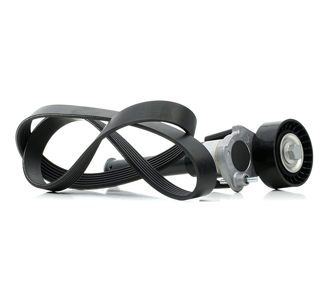 OEM Set curea transmisie cu caneluri SKODA 1.8 TSI 160 CP benzina de la RIDEX online la un preț incredibil