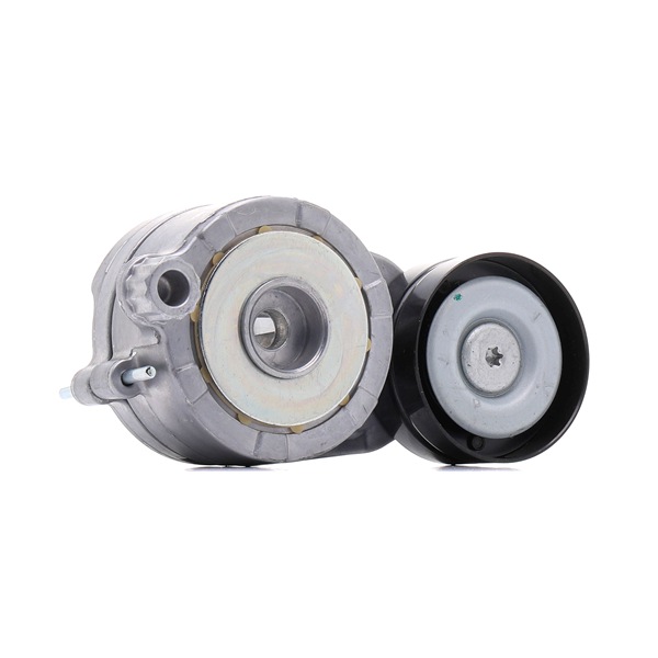 OEM Spanner, Poly V-riem MERCEDES-BENZ 319 CDI RWD (907.133, 907.135, 907.233, 907.235) 190 PK Diesel 6422001970 van RIDEX online aan geweldige prijzen