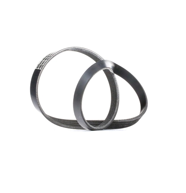 Compre Correa trapecial poli V SKPB-0090291 original asequible comparable con números OEM online BPE815908