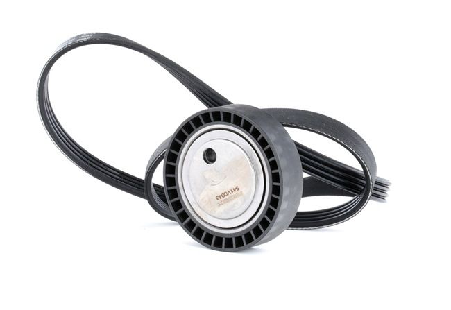 OEM Keilrippenriemensatz BMW E36 Compact 2000 RIDEX