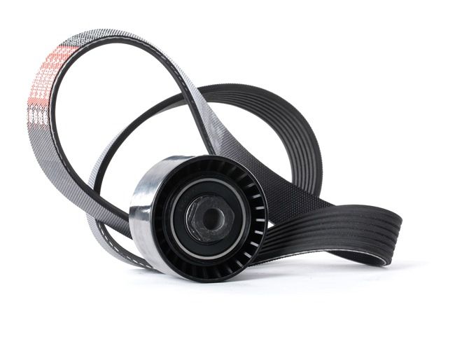 OEM Poly V-riem set RENAULT 1.2 78 PK Benzine 7701478932 van RIDEX online aan geweldige prijzen