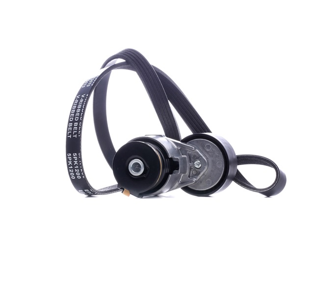 Acquista online Kit Cinghie Poly-V SKRBS-1200508 originale a buon mercato, comparabile con i numeri OEM 1172000QAP