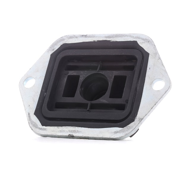 RIDEX Vlezajenje, Telo osi 1080M0054