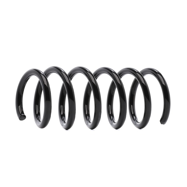 OEM Chassisveer RENAULT 1.9 dCi 100 101 PK Diesel 4411801 van RIDEX online aan geweldige prijzen