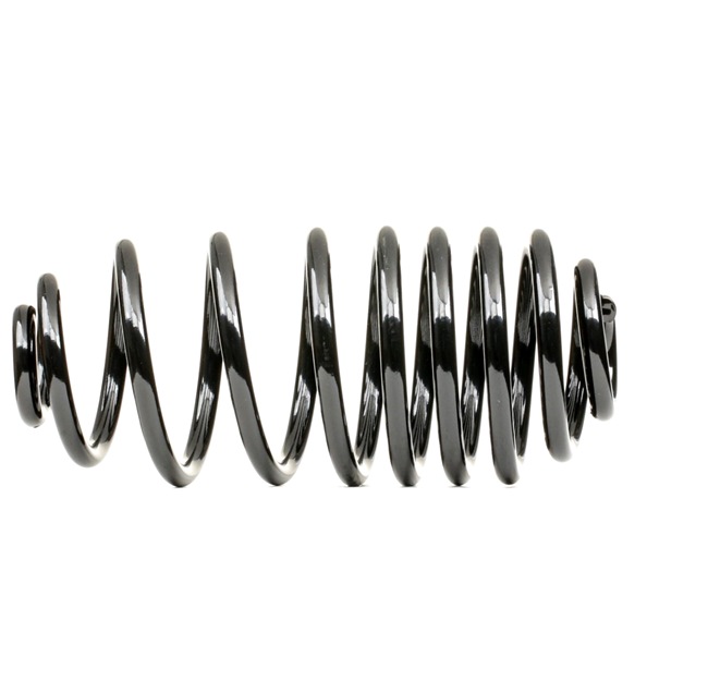 OEM Chassisveer RENAULT 1.5 dCi 90 (FW0G, FW05, FW08, FW11) 90 PK Diesel 550207723R van RIDEX online aan geweldige prijzen