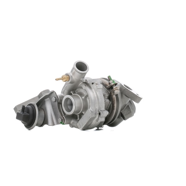 Bestel originele Turbocharger 2234C0118R voordelig online, te vergelijken met A160096049980 OEM-nummers