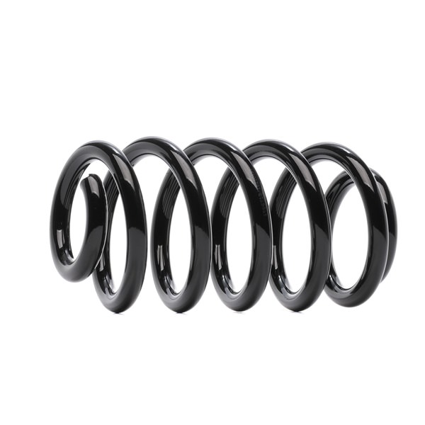 OEM Molle ammortizzatori AUDI 3.0 218 CV Benzina 8E0411105CG da RIDEX online ad un ottimo prezzo