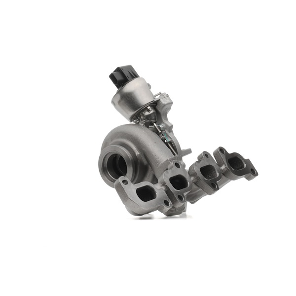 OE Turbo SKODA RAPID 2014 03L253016A, 03L253016AV, 03L253016AX von RIDEX