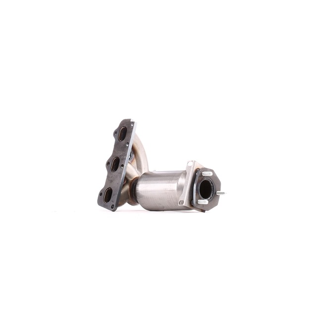 RIDEX Katalizators 429C0076