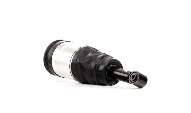 RIDEX Pneimoatsperes statnis 4118A0016