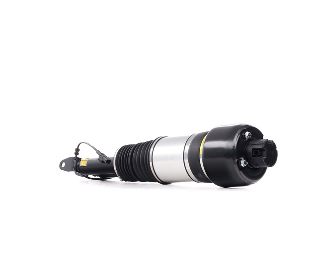RIDEX Pneimoatsperes statnis 4118A0018