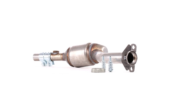 OEM Katalyzátor RENAULT 1.2 75 HP Benzín 8200276169 od RIDEX online za výborné ceny