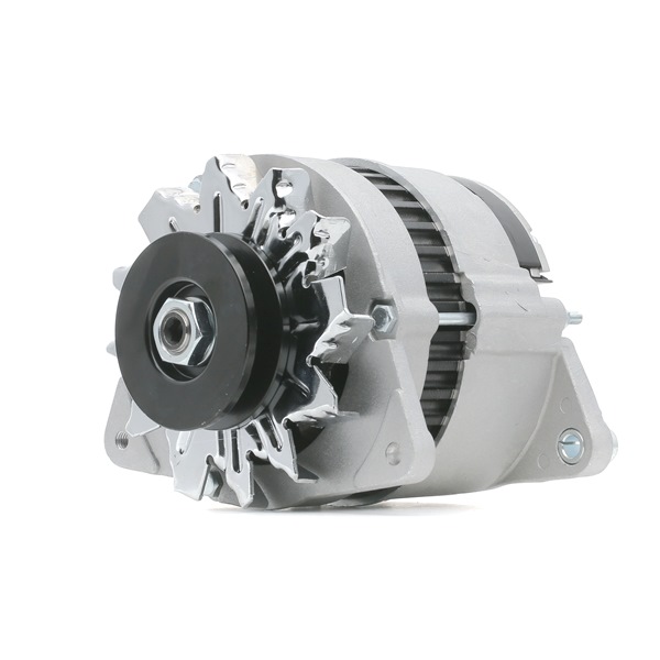 FORD 1.3 i 50 HP Petrol Alternator OEM 1005308 from RIDEX online zu günstigen Preisen