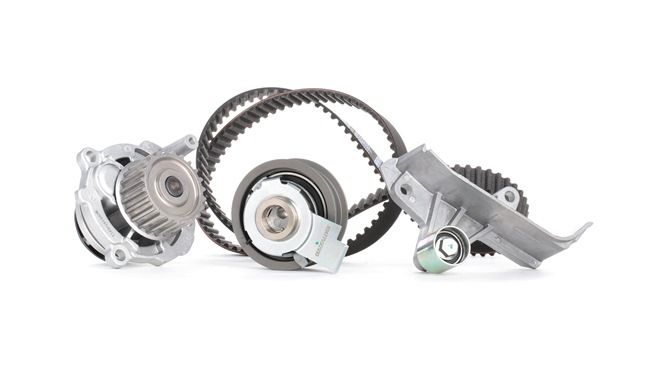 Acquista online Kit cinghia distribuzione, pompa acqua 3096W0248 originale a buon mercato, comparabile con i numeri OEM 06B121011NX