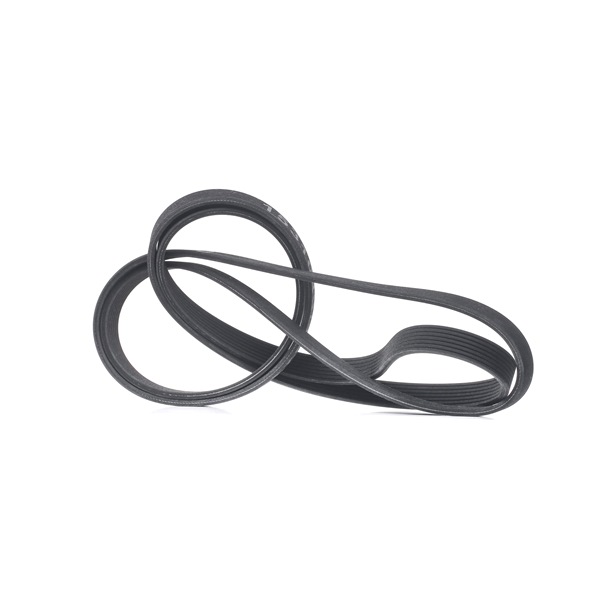 OEM Multiriem PORSCHE Turbo S 4.5 500 PK Benzine 99919238050 van RIDEX online aan verbazingwekkende prijzen
